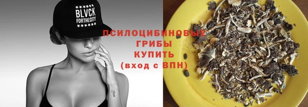 2c-b Кулебаки