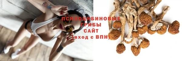 стаф Краснослободск
