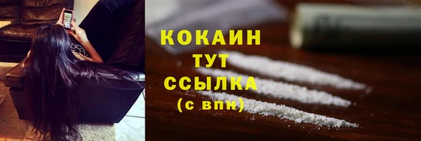 прущие грибы Куйбышев