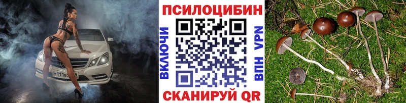 где купить наркотик  Суровикино  Псилоцибиновые грибы мицелий 