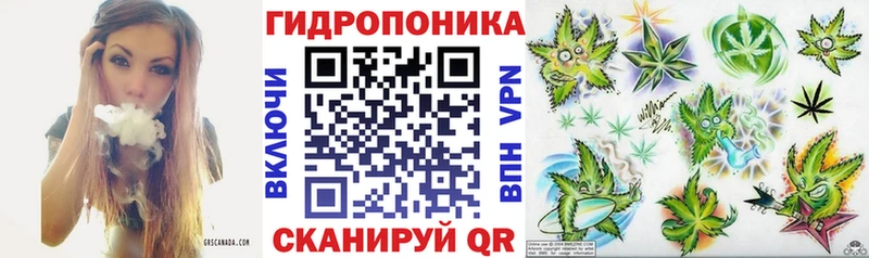 Марихуана SATIVA & INDICA  наркошоп  Суровикино 